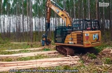 ELO NEWS Video Sotreq Florestal Harvester Ponsse