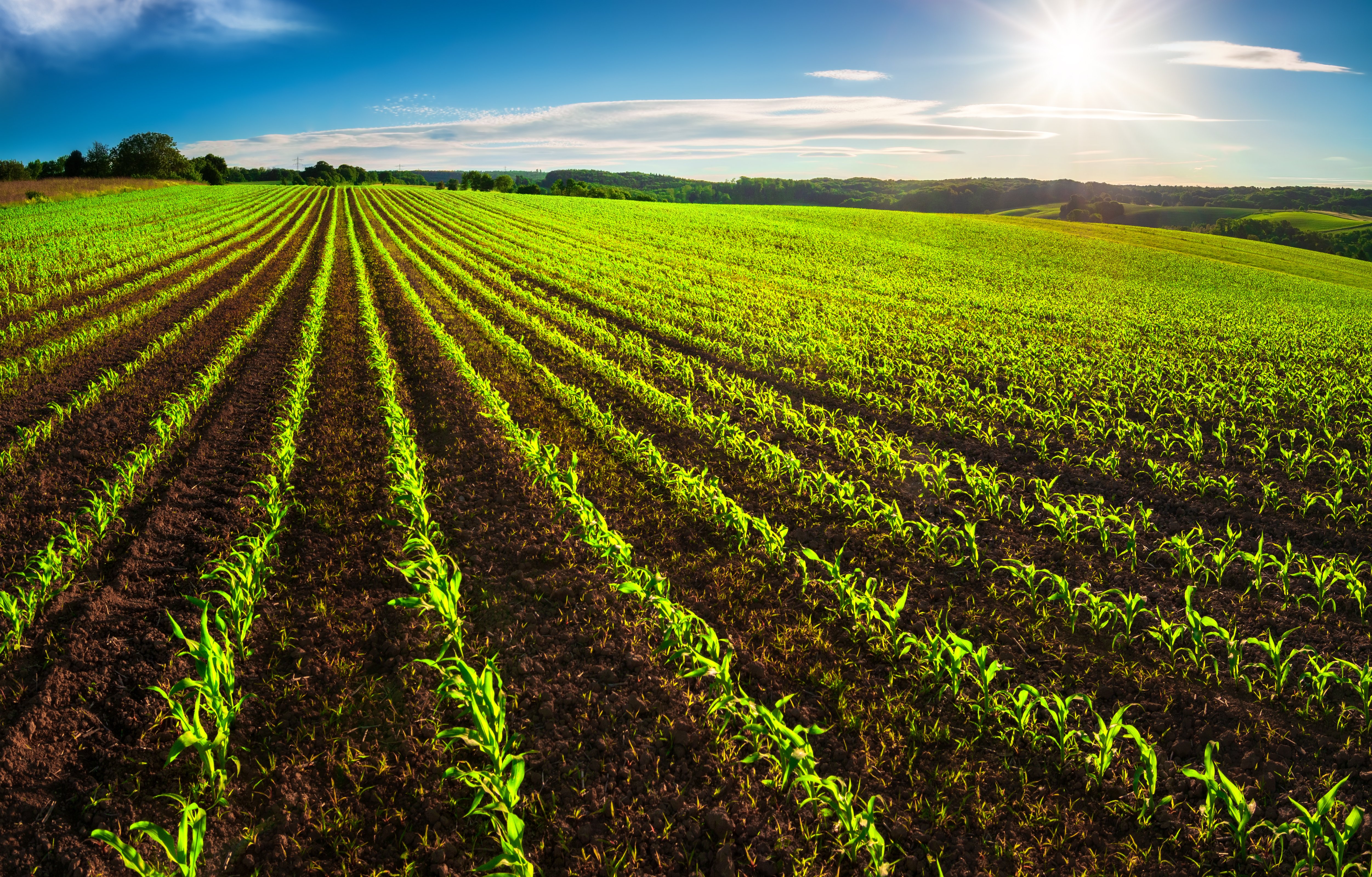 ELO NEWS Materia Agricultura de Precisão impulsiona produção no Brasil