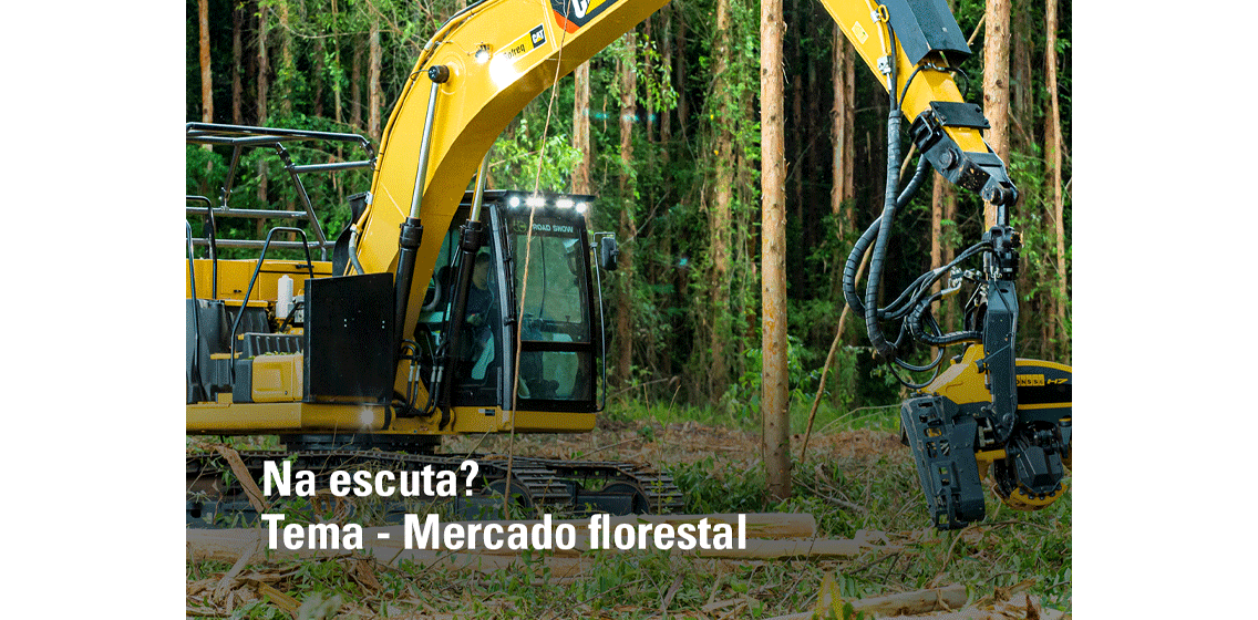 Mercado Florestal