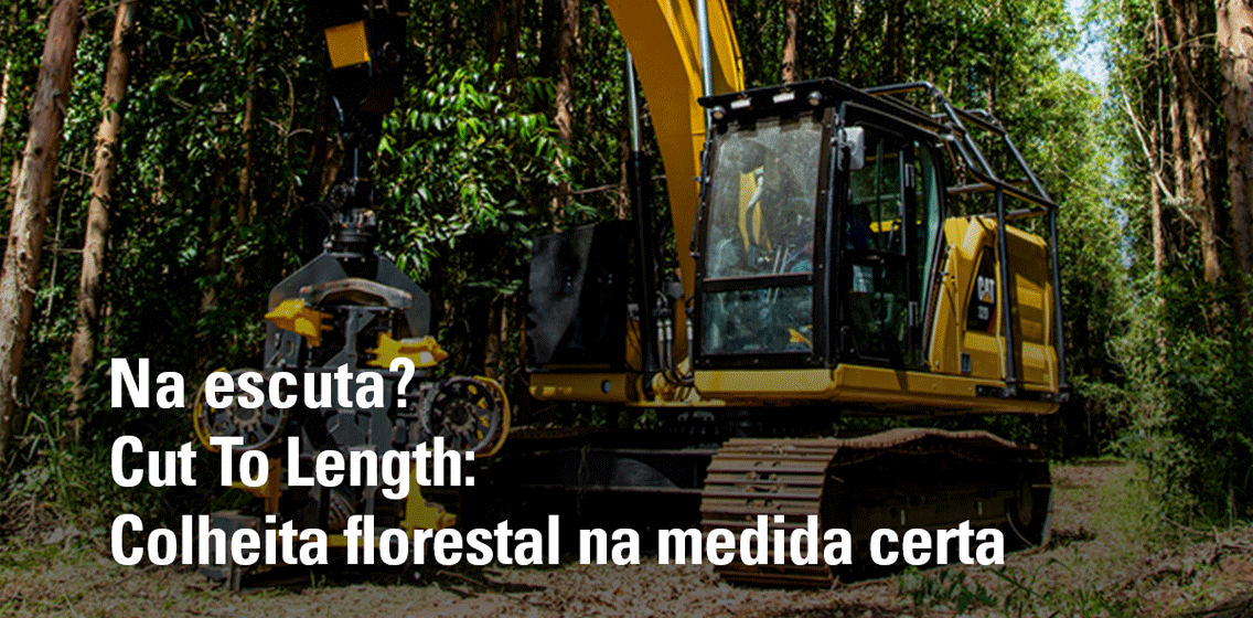 Cut to Length - Colheita Florestal na medida certa