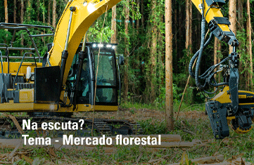 ELO NEWS Materia Mercado Florestal