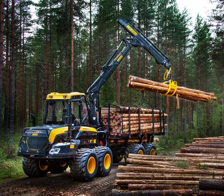 ELO NEWS Materia Forwarder Buffalo King: gigante na movimentação florestal