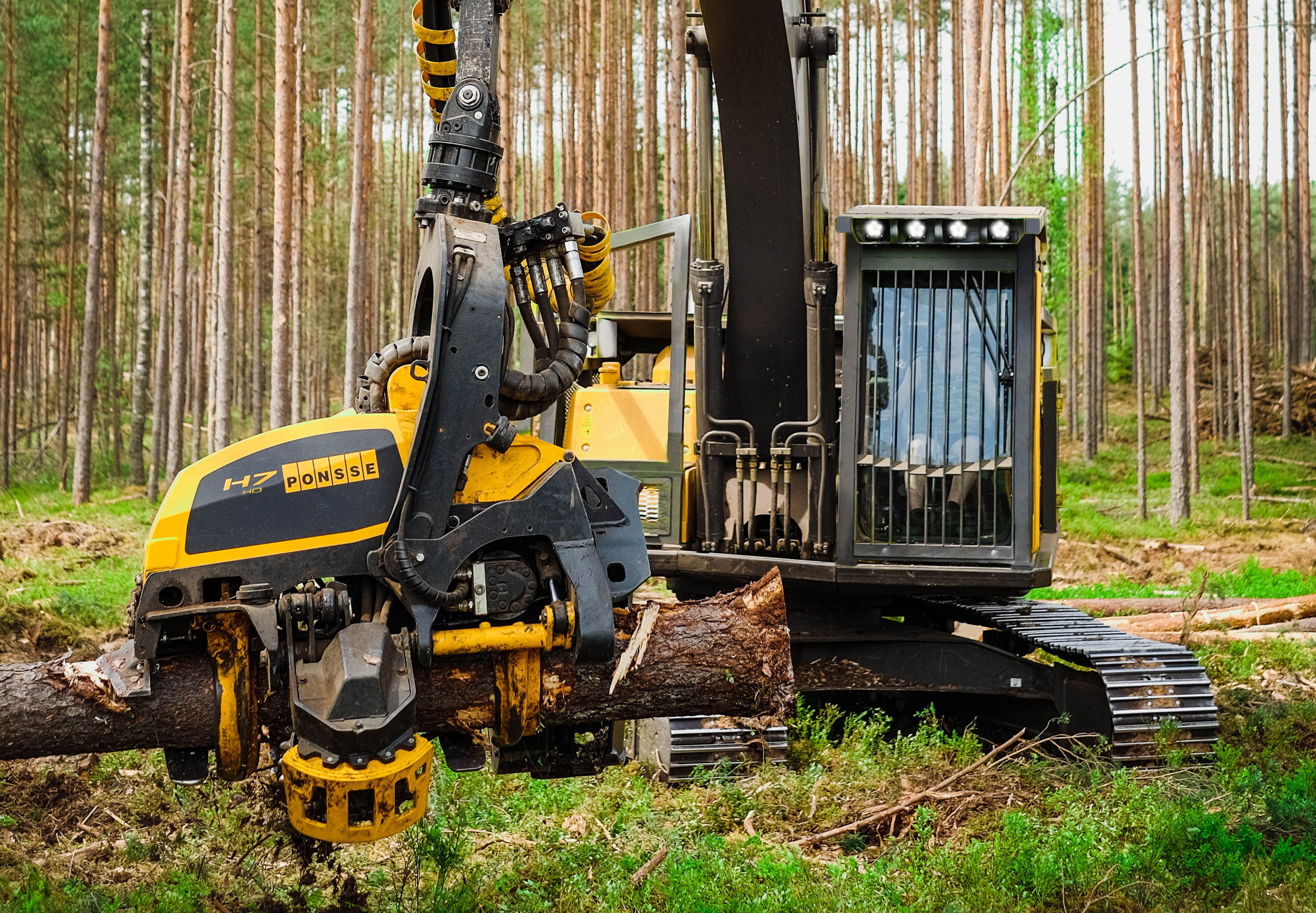  Cabeçotes Harvester Ponsse: essenciais e eficazes na colheita florestal