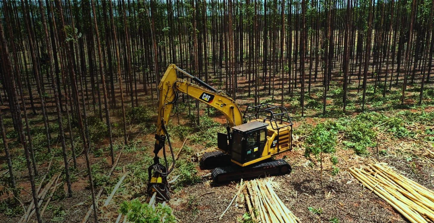 Ampliação da Sotreq Florestal com novas parcerias