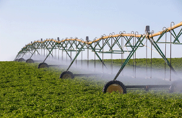 ELO NEWS Materia MDPower fornece motores Perkins para irrigar a agricultura brasileira