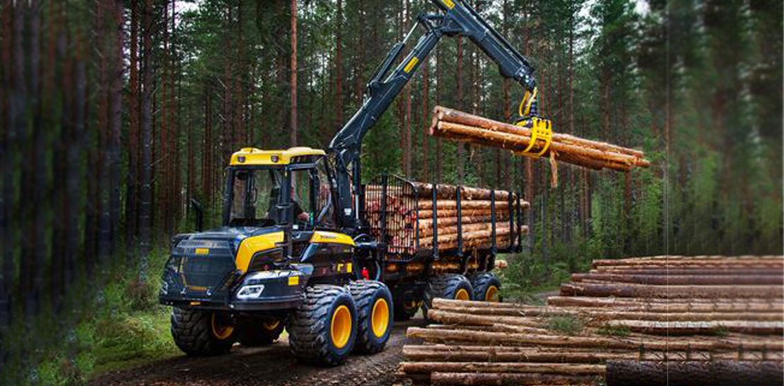 Forwarder Buffalo King: gigante na movimentação florestal